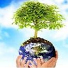 Ações que podem ajudar na preservação do Meio Ambiente