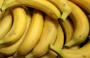 Foto com várias bananas