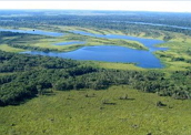 Pantanal: bioma com rica biodiversidade