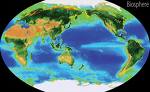 Biosfera: espaço da vida em nosso planeta