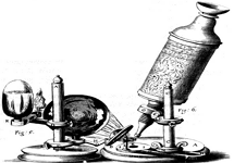 Microscópio: extrema importância para as descobertas da Biologia