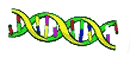 Genes: o código da vida