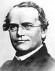 Gregor Mendel: importantes estudos de genética