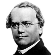 Gregor Mendel Foto do biólogo Gregor Mendel