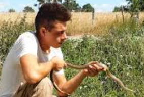 Foto de um herpetólogo com uma cobra na mão