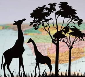 Figura de girafas se alimentando no topo de uma árvore