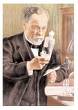 Louis Pasteur: importante cientista francês