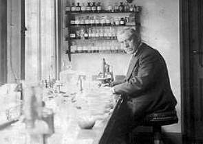 Martinus Beijerinck, o pai da virologia