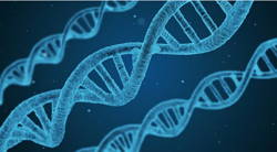 Imagem de um DNA