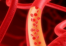 Pressão sanguínea: manutenção do fluxo de sangue