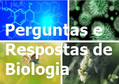 Pergunta e resposta sobre o retículo endoplasmático liso