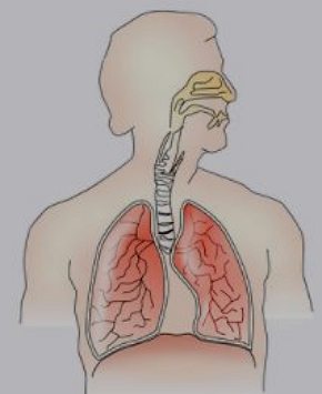 Ilustração do sistema respiratório