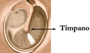 Tímpano: função de vibrar mediante estímulos sonoros